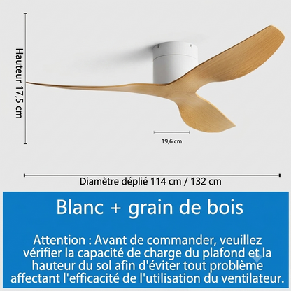 Ventilateur de Plafond Style Industriel Koryn – 132/114cm, Moteur DC Réversible & Silencieux