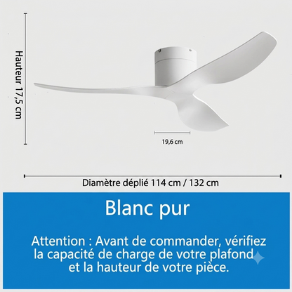 Ventilateur de Plafond Style Industriel Koryn – 132/114cm, Moteur DC Réversible & Silencieux