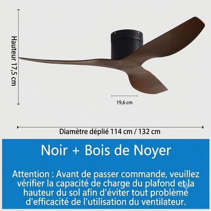 Ventilateur de Plafond Style Industriel Koryn – 132/114cm, Moteur DC Réversible & Silencieux
